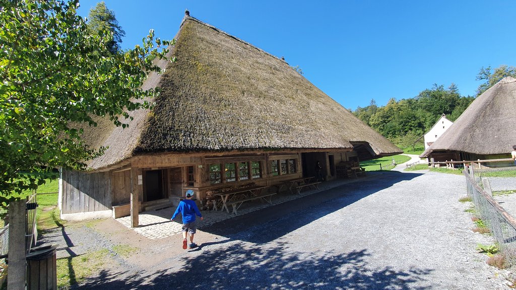 MUSEO AL AIRE LIBRE DE BALLENBERG- PLAYA DE ROLLE- VUELTA A CASA - 50 sombras del verde en Suiza y Alemania (1)