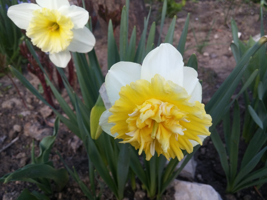 20170319_173313