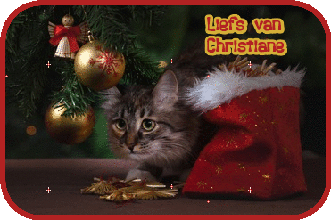 Kerst-3