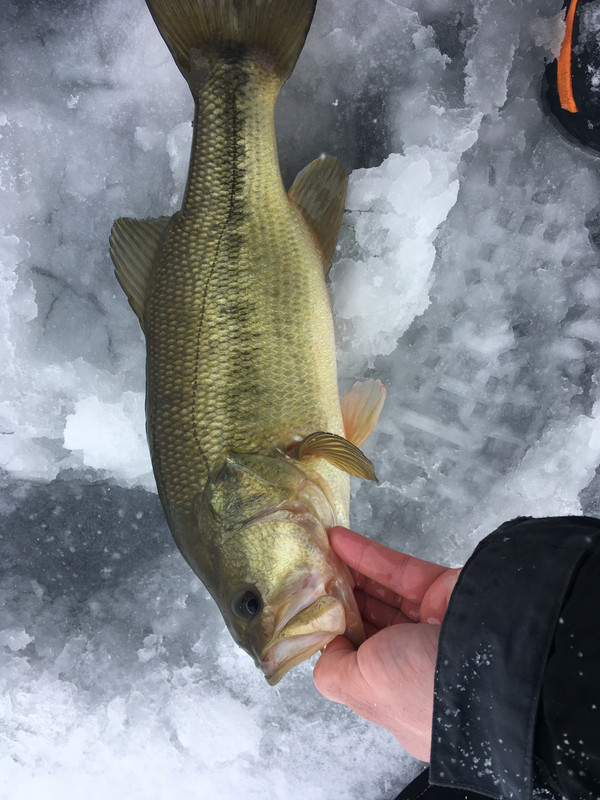 3B014452-2604-4180-ADD8-204E54FA15D3