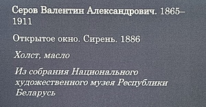 https://i.postimg.cc/zG96SSyF/12.jpg