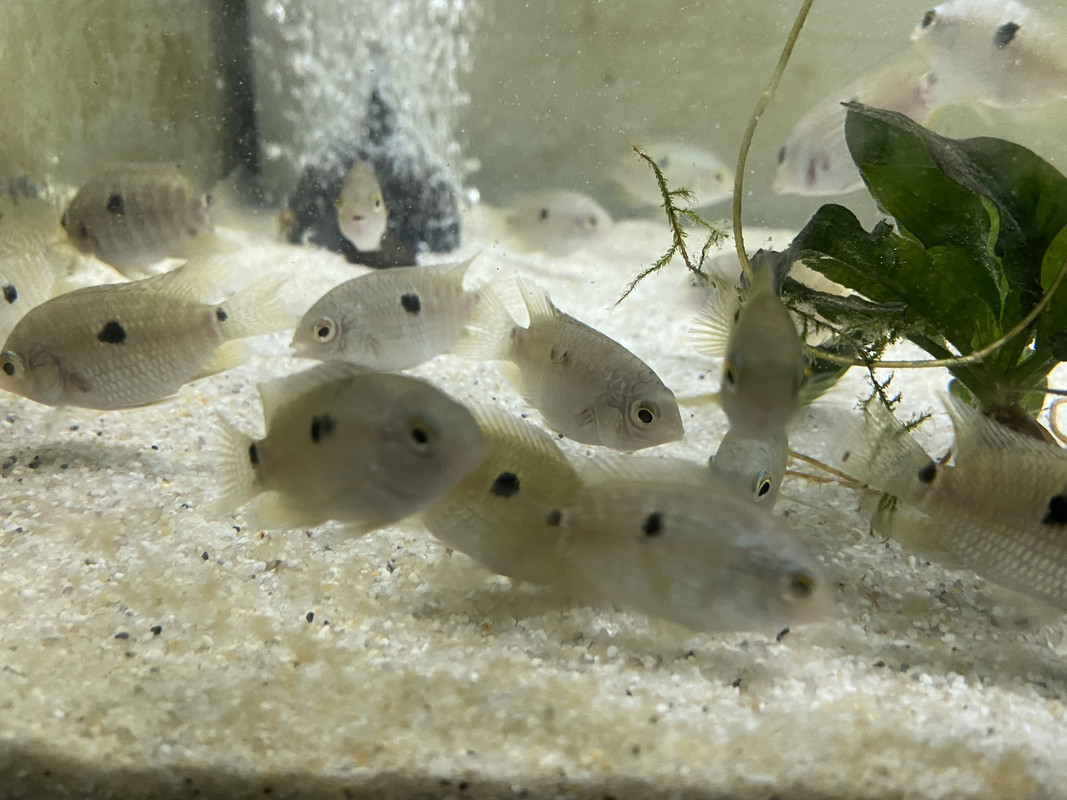 94419BF8-0FAF-4E17-B3F7-BCBBA003BCCC