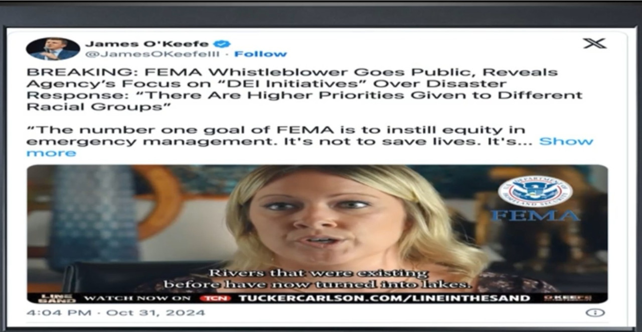 Screenshot_20241103_035017_Chrome~2