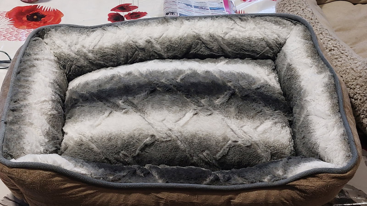 [Image: IMG-20250507-222512.jpg]