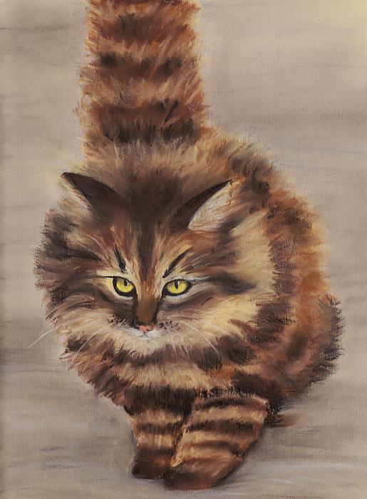 4-winter-cat-anastasiya-malakhova