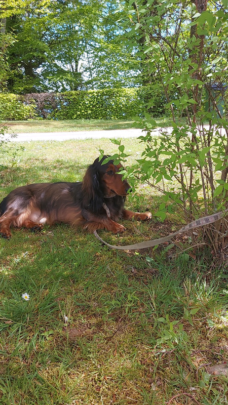 [Image: IMG-20210509-WA0000.jpg]