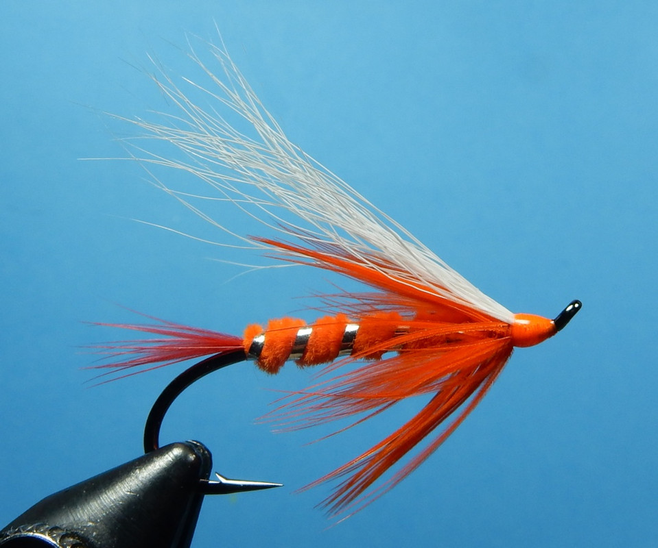 Hot_Shot_1080.jpg