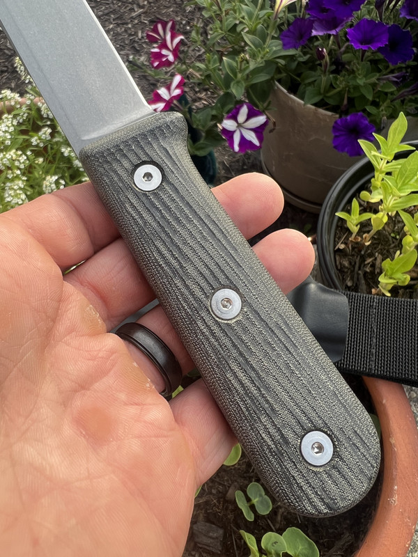 D6A6FCE0-E3B6-4DCC-972C-80DCC8226FB9