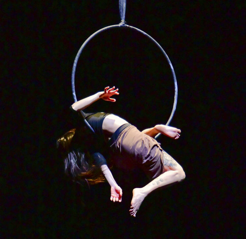 Punti di Partenza – Spettacolo FLIC Scuola di Circo – 29 e 30 maggio allo Spazio Flic di Torino
