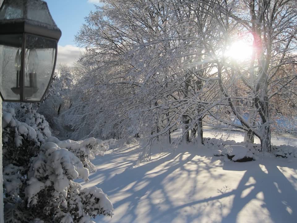 2362493A-74E3-48A0-B870-C1D90A0FC515