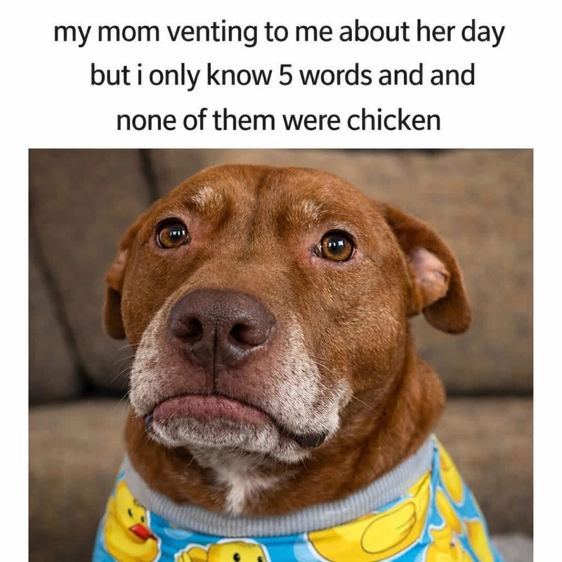 Dog0d977014c5ce65ef1f6196a9f7613fe2.jpg