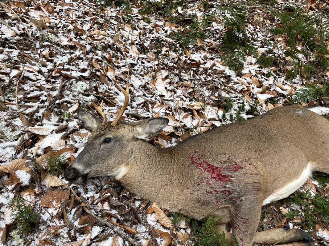 8BA65B6F-2B85-44AC-90D5-FCE7D1115E7F