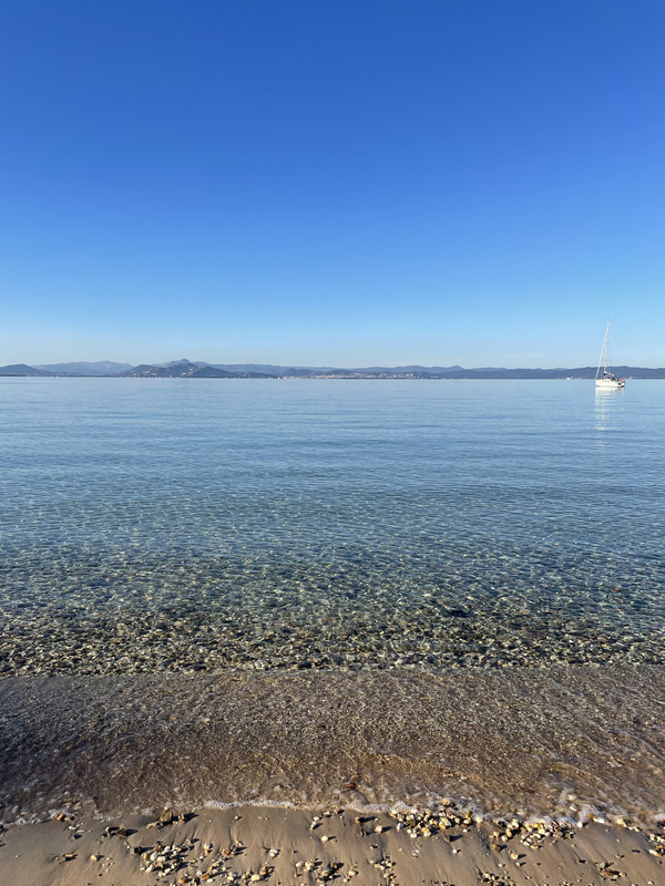 B2D418F5-32F9-4CFE-A0F8-3555F86D2DEA