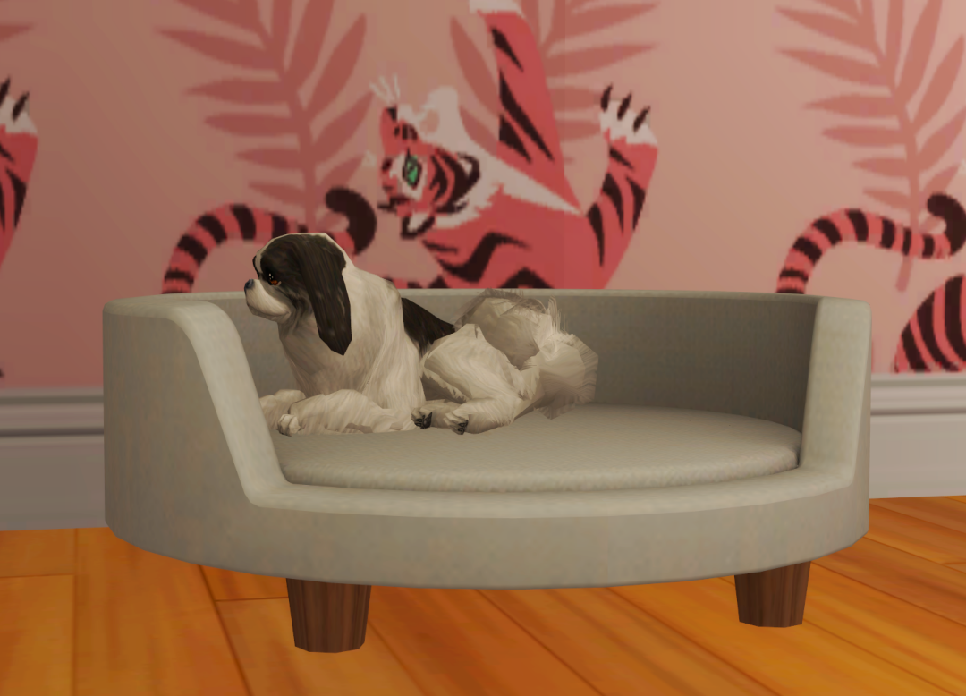 Sims2-EP9-RPC-2023-06-25-19-21-48-16