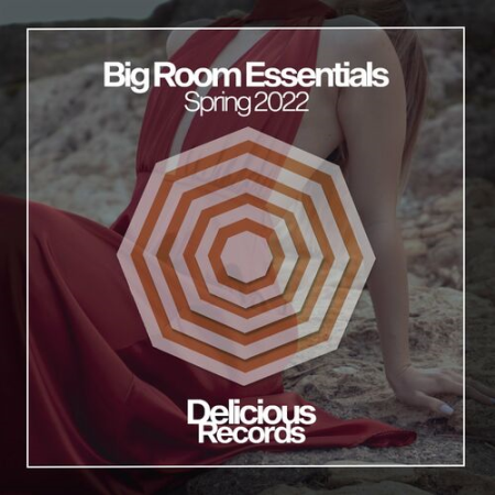 VA - Big Room Essentials (2022)