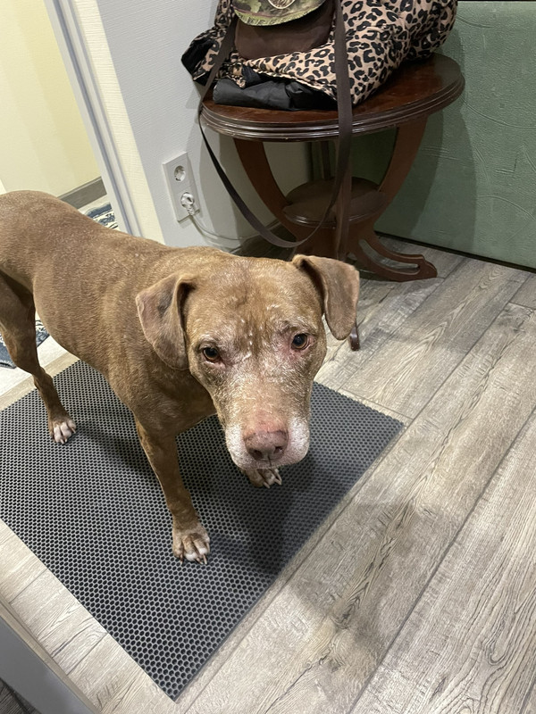 IMG-dcbe42b20d02644dcbde06ac6179200f-V