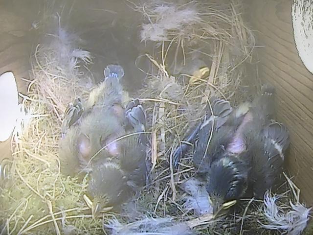 A52D984D-1C6B-4F3B-B4F9-7ED543BDC512