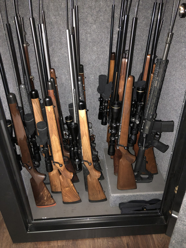 55848F62-AB74-497E-A4EC-1639E7B4F54D