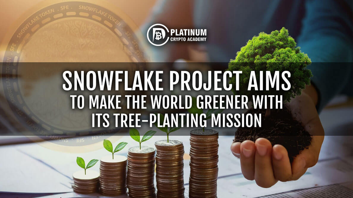 SNOWFLAKE-PROJECT-AIMS-TO-MAKE-THE-WORLD