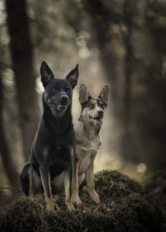 FC5C7C31-F7A1-4507-8AC0-64E391DD67CA