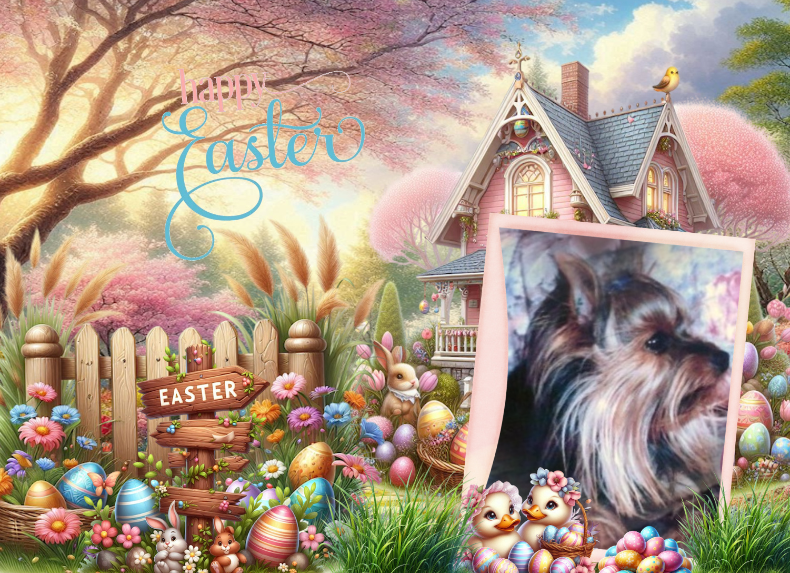 ( a 1 a Pâques Voyou 5