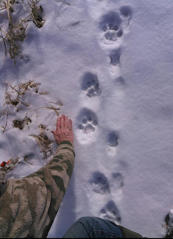 68EE5186-AF6B-4443-832B-F4A883166D23