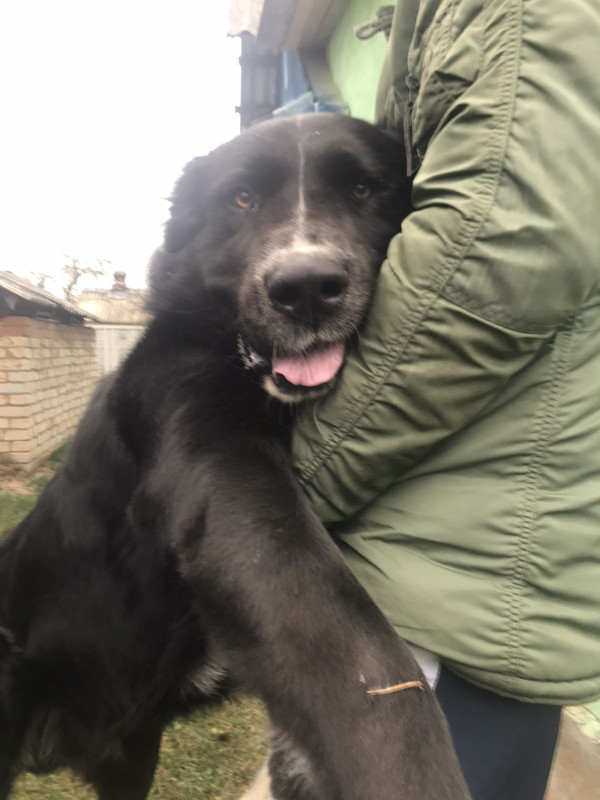 изображение_viber_2019-11-16_22-25-