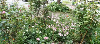 IMG_20230527_082325