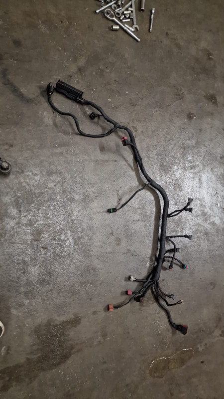 85F476D9-90D9-41B8-BD6B-0E00033D0ABC