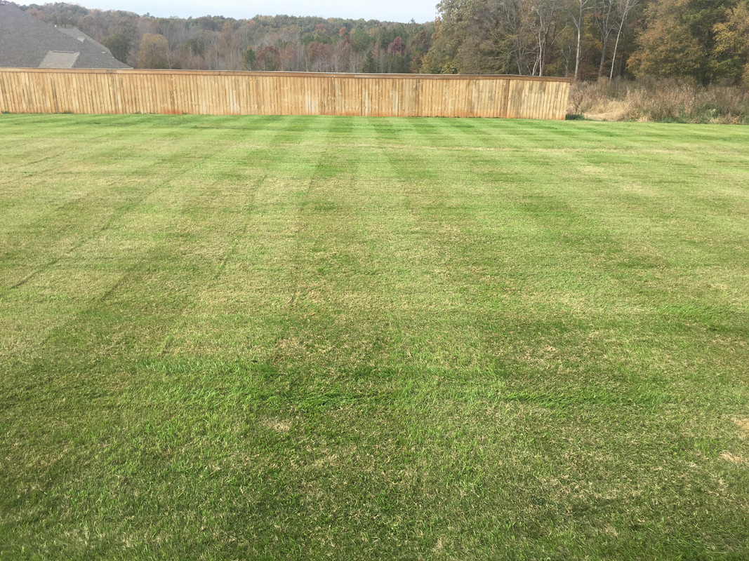 22785164-D52B-48B0-B587-D534D6118736