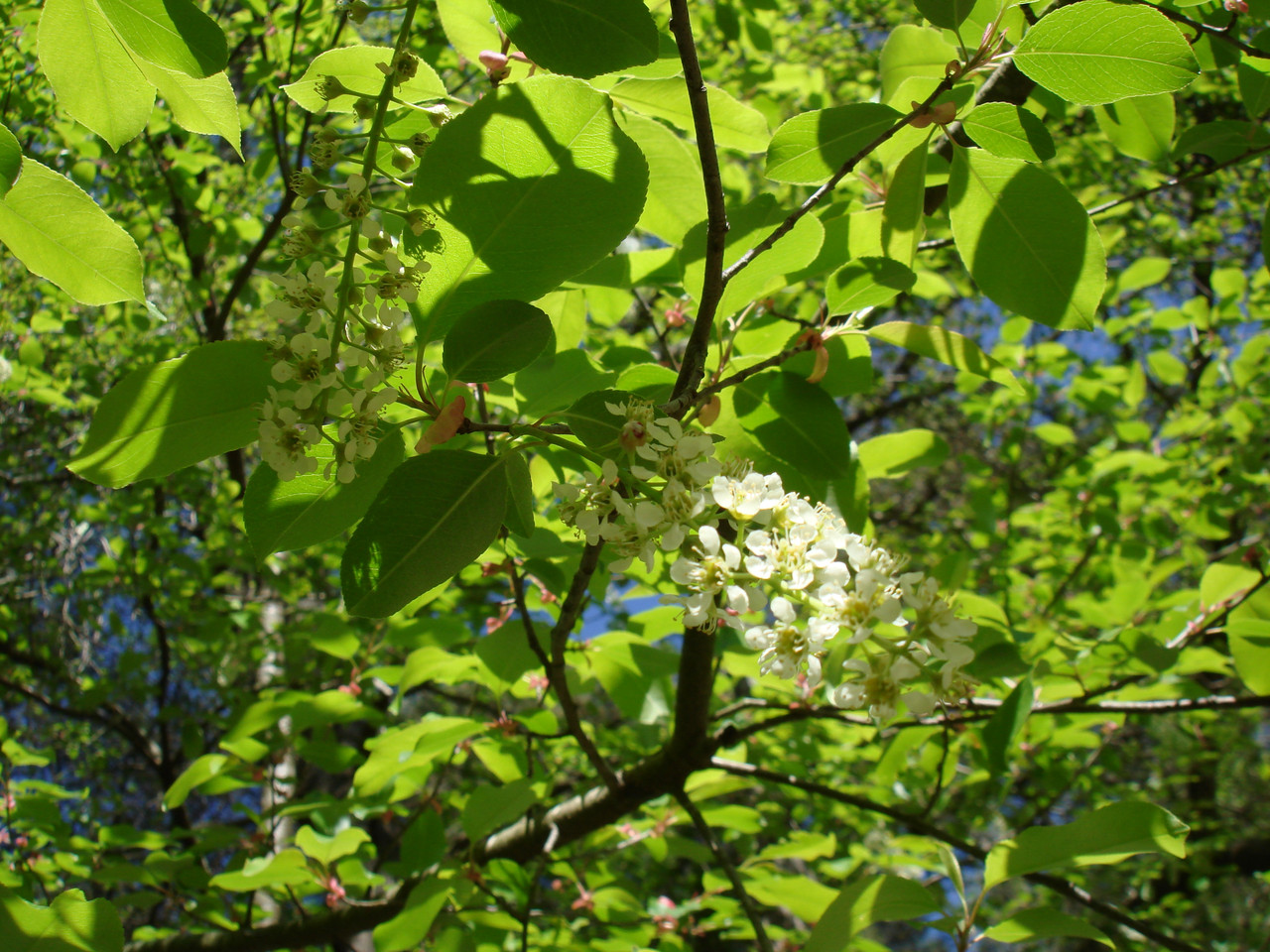 DSC00258