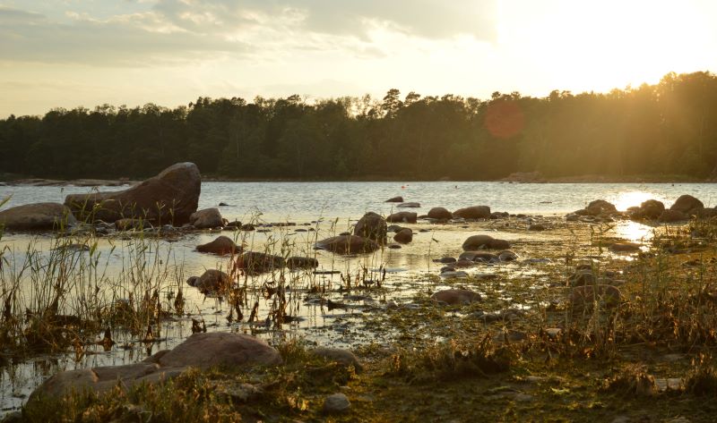 Finlandia con finlandeses y un poco de Estocolmo - Blogs of Finland - Día 6: Porvoo y la puesta de sol (8)