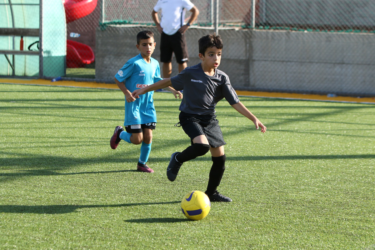 VIK_0532
