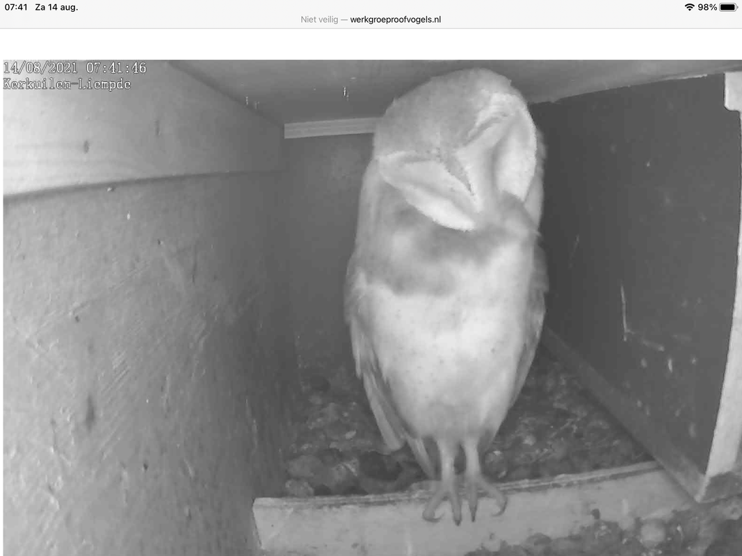 779F42F4-369B-4C39-9F04-7479DAB3ADFD