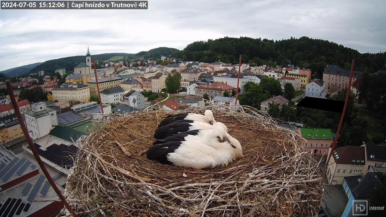 Tiešraidē no stārķa ligzdas uz alus darītavas skursteņa Trutnovā 15-38-15 screenshot