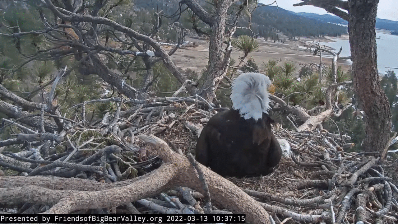 Webp.net-gifmaker (1)