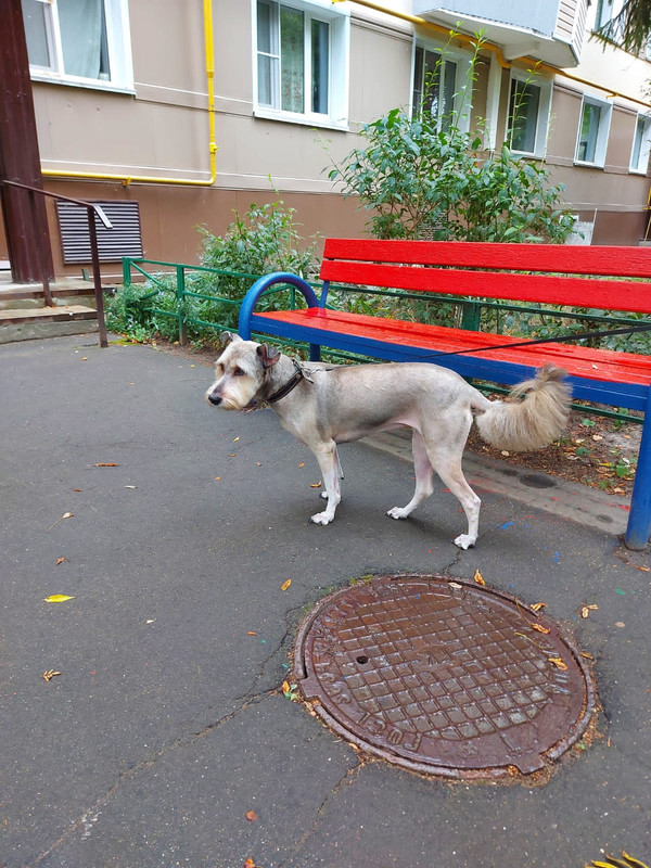 0B1E146C-AD99-497A-B547-161710DCD10C