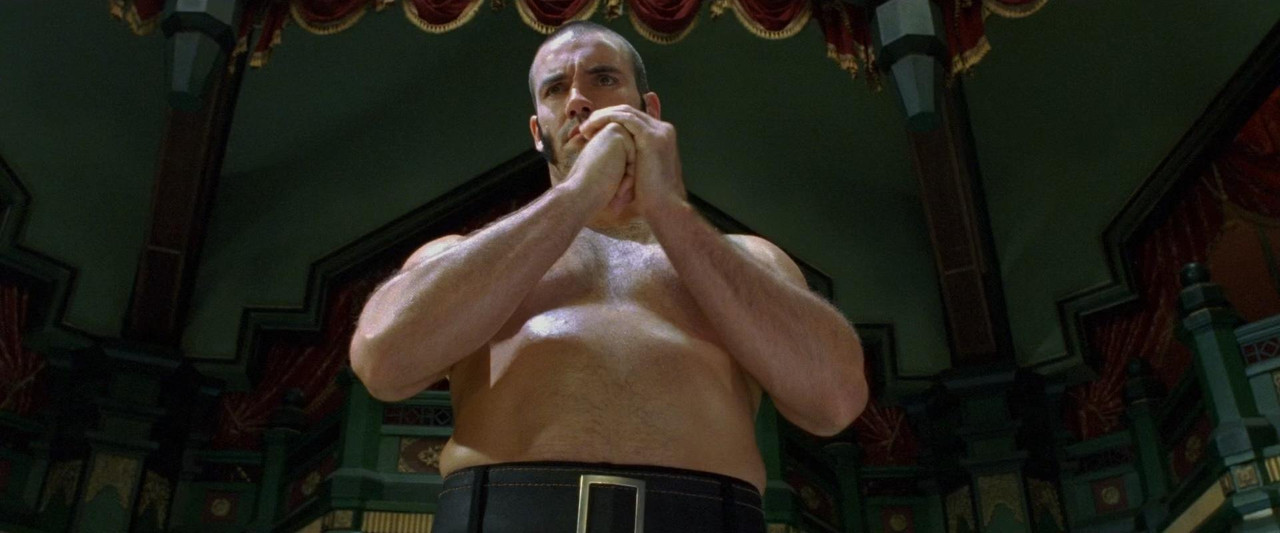 Fearless 2006 DC (1080p x265 10bit Tigole).mkv_s