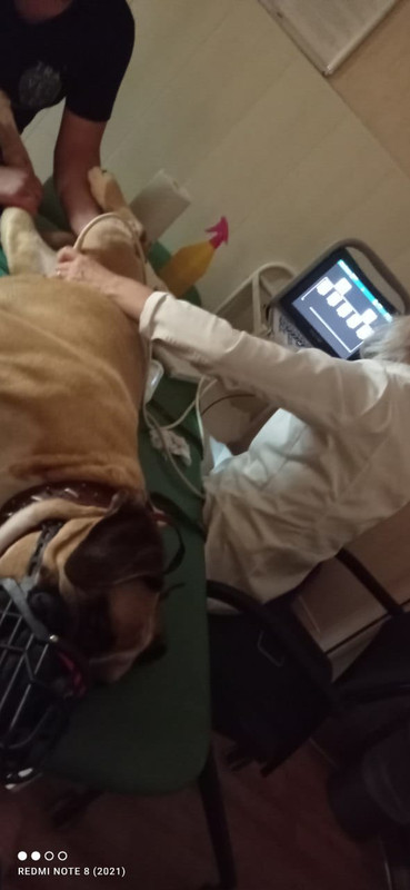 WhatsApp Image 2023-08-02 at 15.13.26 (1)