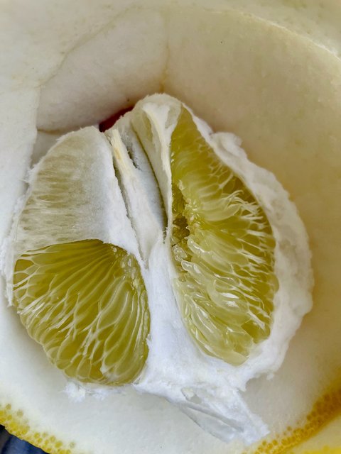 [Image: FD1-DB29-E-6-E01-4445-8-A21-9-D7-B5-F8-A72-B3.jpg]