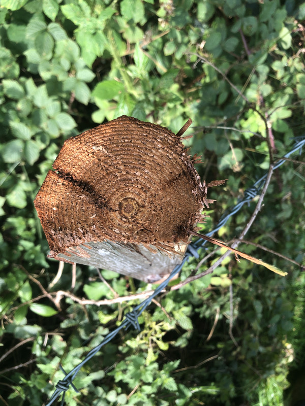 14981529-33EF-4507-A5E3-22C678E84145