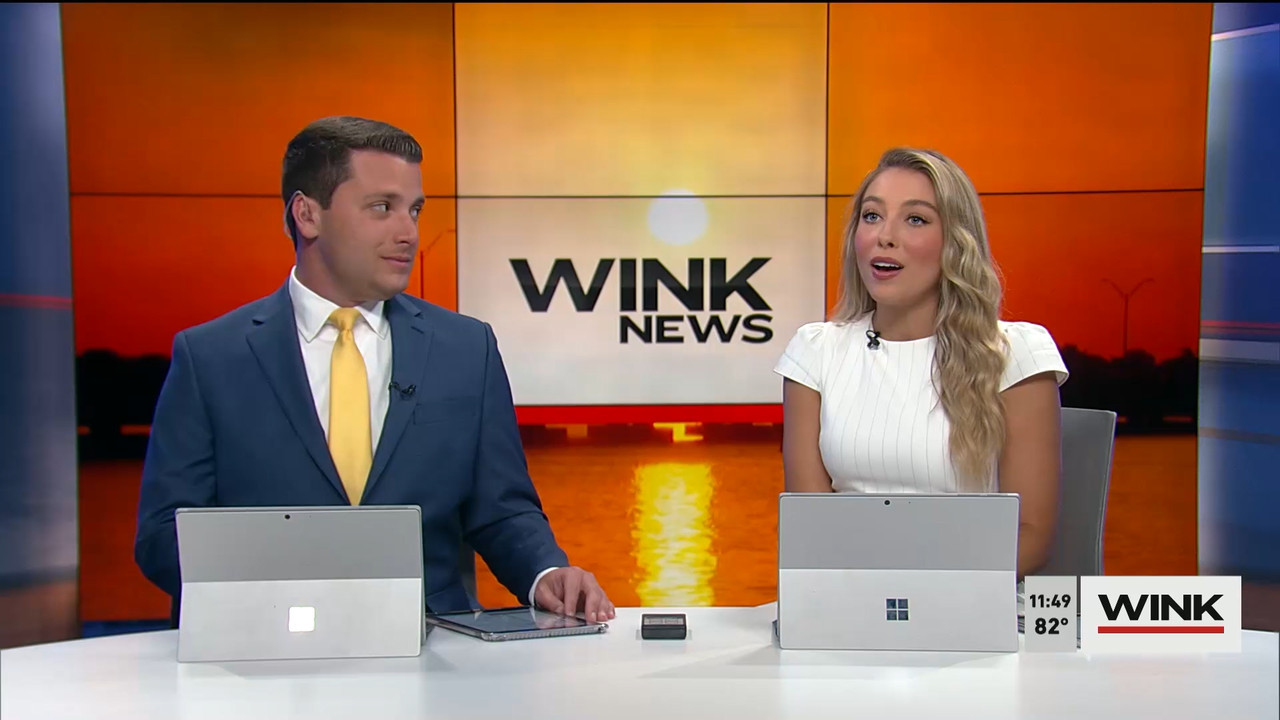 04.02 - 16.30.00 - WINK NEWS at 11 30am  ᴺᵉʷ. Midday news..ts_snapshot_25.37.905