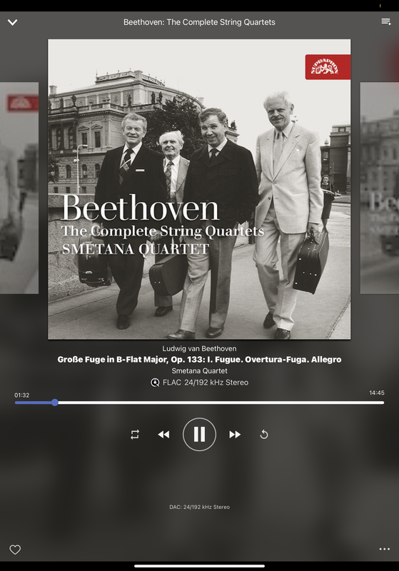 63-CAC91-E-E394-4619-A79-C-F857-ECCCB81-