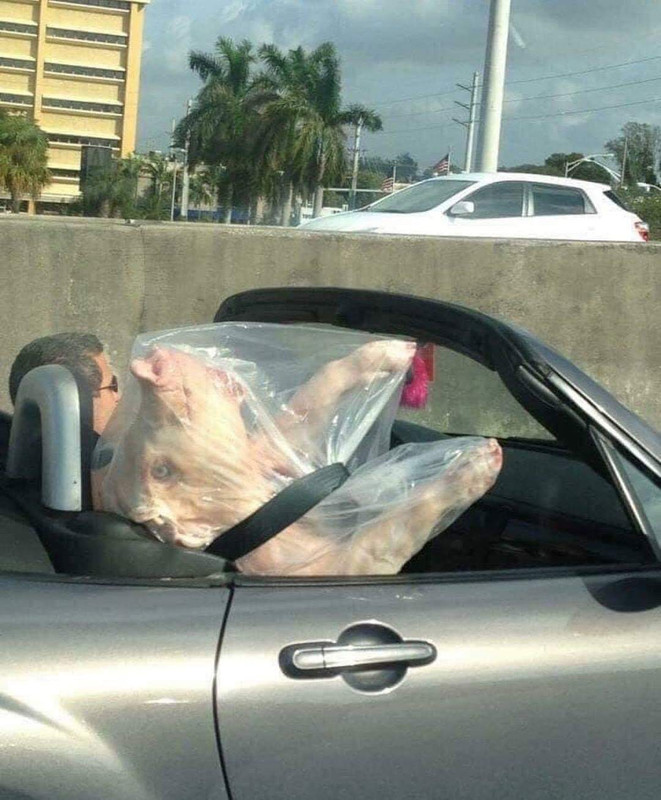 FB_IMG_1545408705334