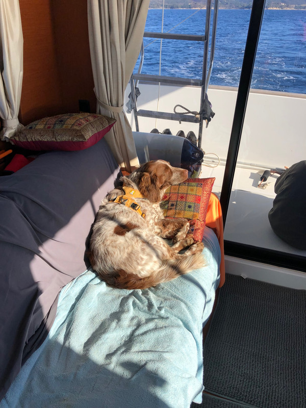 280FECBB-74DA-43F9-8417-AA815D1F77BF