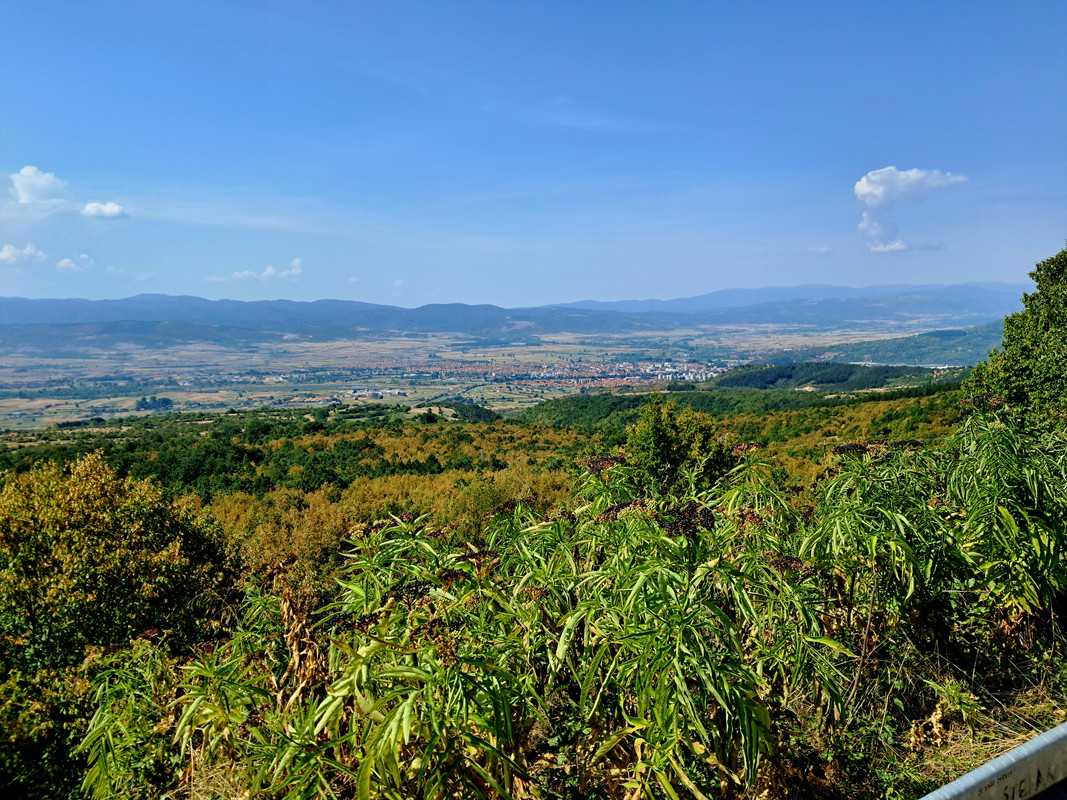 20240818-110000.jpg