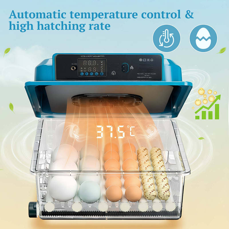 16/36 Eggs Incubator Clear For Poultry Hatching Machine Automatic Turning