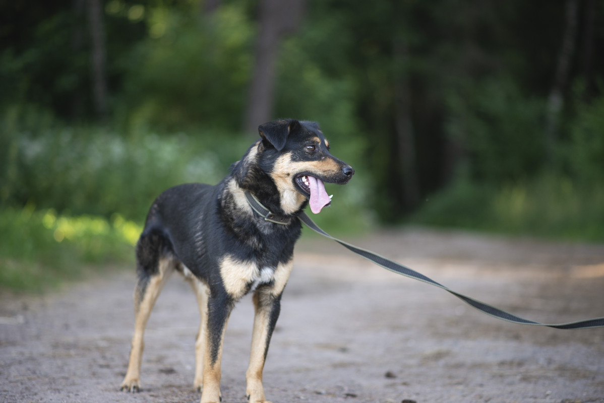 610_1218_минск!