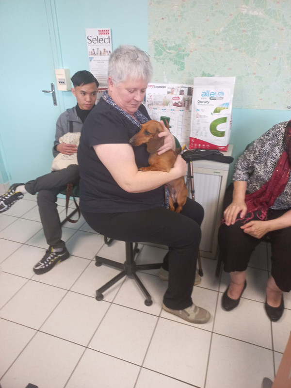 [Image: IMG-20240406-WA0003.jpg]