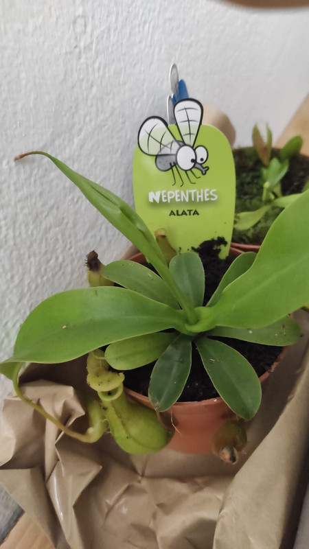 Imagen de WhatsApp 2025-01-09 a las 18.41.06_bd18ed1b